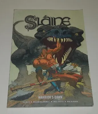 Buy Slaine Warrior's Dawn Graphic Novel By Pat Mills From 2000ad  • 8.99£