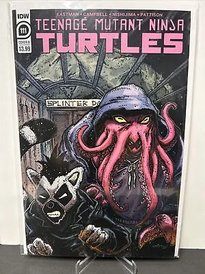 Buy Teenage Mutant Ninja Turtles #111 Cover B Eastman Variant Cover (2020) IDW • 2.81£