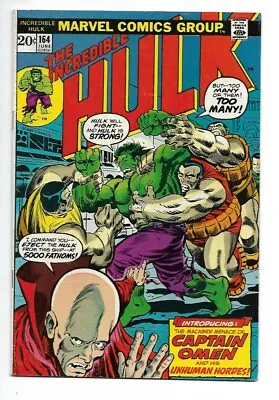 Buy The Incredible Hulk #164, 1973 Marvel, Fn Condition • 11.99£