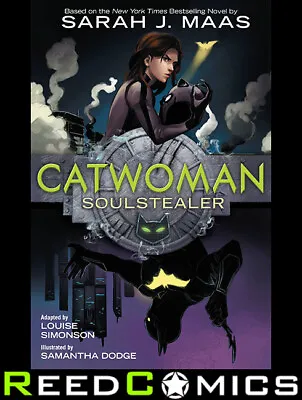 Buy CATWOMAN SOULSTEALER GRAPHIC NOVEL (208 Pages) New Paperback • 12.99£