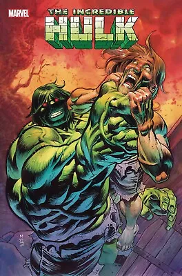 Buy Incredible Hulk Issue 13  Pre-Order  Cover A - Due 12/06/2024 Bag Board • 4.95£