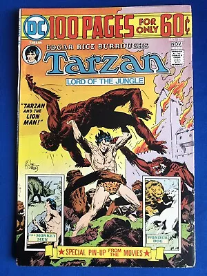 Buy Tarzan #233 (1974) DC 100 Pages; Joe Kubert Cover; Infantino & Kane-Art; FN • 11.95£