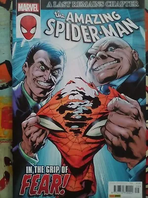 Buy THE AMAZING SPIDER-MAN  #29 - MARVEL/PANINI UK - May 2023 - MINT CONDITION • 6.99£