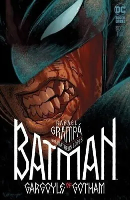 Buy  Batman Gargoyle Of Gotham #2 Cvr A Rafael Dc Comics • 7.10£