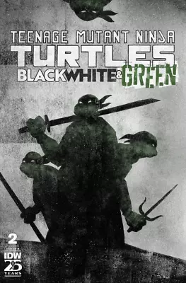 Buy Teenage Mutant Ninja Turtles: Black, White, And Green #2 CVR B (PRESALE 6/19/24) • 3.85£