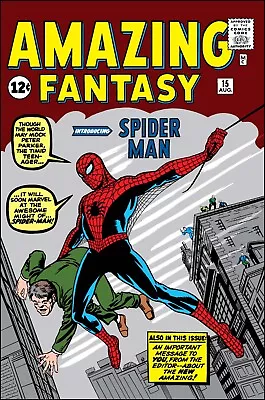 Buy 13x19 Amazing Fantasy #15 Comic Cover Replica Poster Print Marvel Spiderman  679 • 11.37£