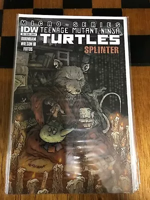 Buy Teenage Mutant Ninja Turtles Micro-Series Splinter • 15£