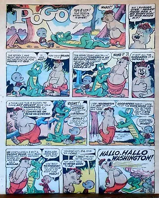 Buy Pogo By Walt Kelly - Large Full Tab Page Color Sunday Comic - May 1, 1955 • 2.36£