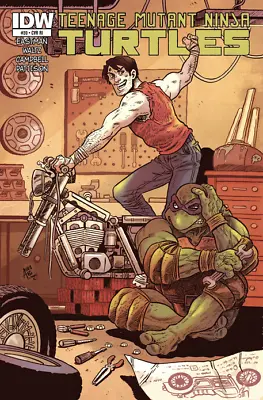 Buy Teenage Mutant Ninja Turtles #30 1:10 Variant RI NM Comics IDW 2013 RARE • 31.49£