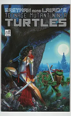 Buy Teenage Mutant Ninja Turtles #13 1st Appearance App Jhanna Mirage Comics 1988 • 21.37£