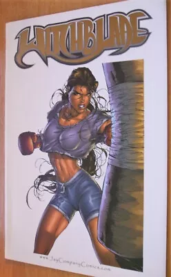 Buy Image Witchblade Gallery 10th Ann. Jay WW Texas M. Turner Foil Variant Ltd 500 • 79.99£