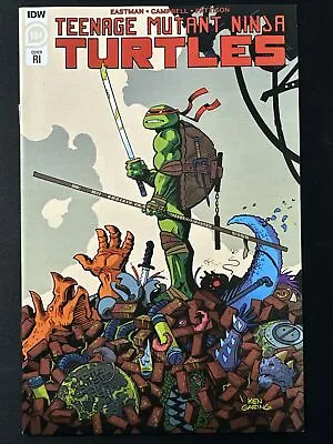 Buy Teenage Mutant Ninja Turtles #104 Cover RI Variant 1:10 IDW 1st 2020 TMNT NM • 78.83£