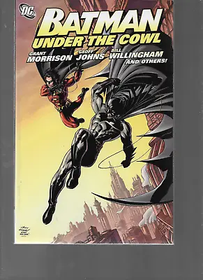Buy  Batman: Under The Cowl By Johns, Dixon, Morrison & More TPB 2010 DC Comics OOP • 15.83£
