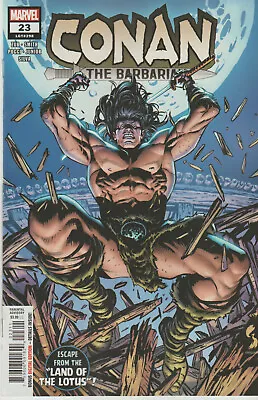 Buy Marvel Comics Conan The Barbarian #23 September 2021 1st Print Nm • 5.25£