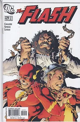 Buy Dc Comic The Flash Vol. 2 #229 February 2006 Fast P&p Same Day Dispatch • 4.99£