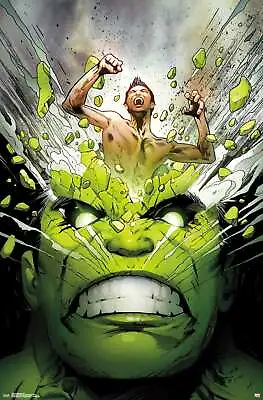 Buy Marvel Comics - The Incredible Hulk - Cover #171 Poster • 52.17£