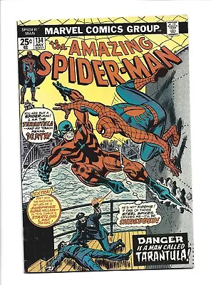 Buy Amazing Spider-man #134, FN+ 6.5, 2nd Appearance Punisher, Marvel Value Stamp • 67.99£