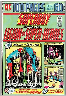 Buy Superboy  Legion Of Super-Heroes 202  Wildfire 100 Pages  1974 DC Comic • 23.98£