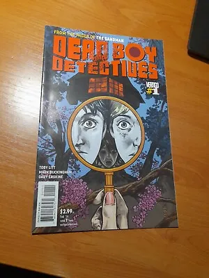 Buy DEAD BOY DETECTIVES #1 - 1st PRINT DC VERTIGO Comics 2014 Netflix Show Sandman  • 7.99£