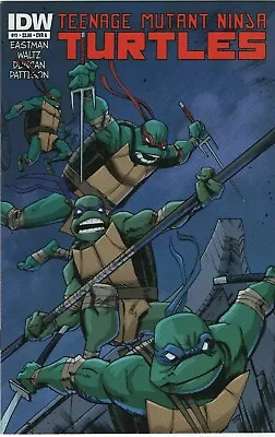 Buy Teenage Mutant Ninja Turtles #11 Duncan Variant Cover A TMNT 2012 IDW Comic • 23.98£